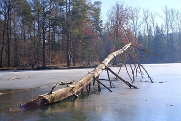 Winterstimmung am B&auml;rensee bei Stuttgart