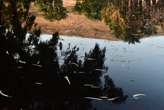 reflections