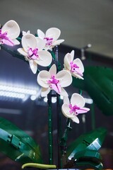 Naklejka premium Moscow, Russia. - June 23, 2025: Lego construction kit, old models. Collection of the famous toy series