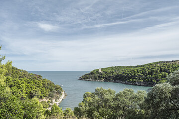 Naklejka premium Daytime view of a historic coastal Torre (watchtower) on the Gargano coast, Apulia, Italy, surrounded by Mediterranean vegetation, soft sunlight, slightly hazy, peaceful seaside atmosphere.