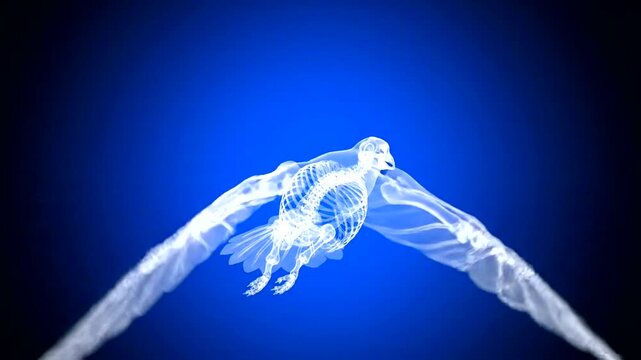 X-ray of a bird in flight against a blue background.