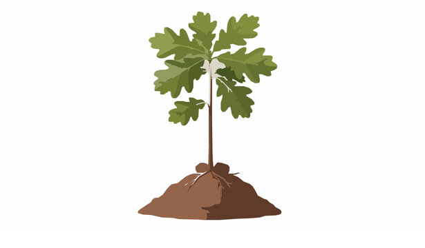 Single oak sapling with green leaves growing in fertile soil symbolizing growth and environmental sustainability vector illustration