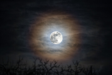 Pełnia księżyca na ciemnym niebie. Halo księżyca. © FotoDax