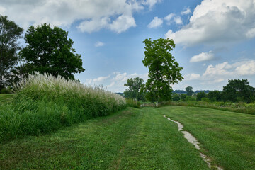 Mowed Curved Path Through Managed Grassland