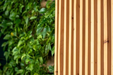Vertical wooden slats fence beside lush greenery for outdoor garden scene