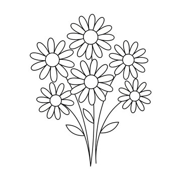 Clean line art illustration of a daisy flower bouquet, minimalist floral drawing for coloring books.