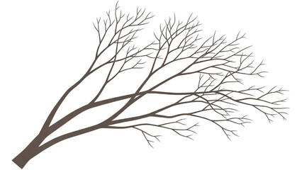 Leafless tree branch illustration with intricate details and empty surroundings viewed from a straightforward angle