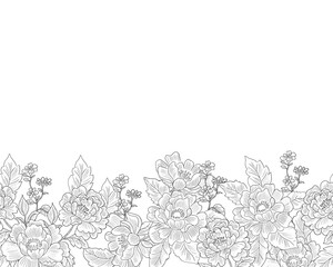 Hand Drawn Peony, Anemone, and Wild Flower background