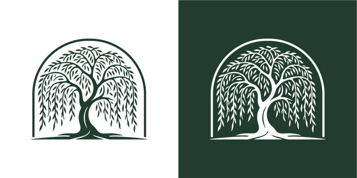 Elegant weeping willow tree i...