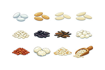 Types of rice. Colorful flat vector icons set of types of rice: white rice grains, brown rice grains, jasmine rice, basmati rice, arborio