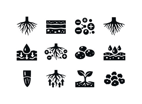 Plant Nutrient Absorption. Solid icon set of Plant Nutrient Absorption: plant roots, soil layers, nutrient ions, root hairs, water uptake,