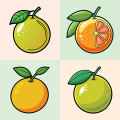 Pomelo Fruit Variations Flat Design Vector Illustration