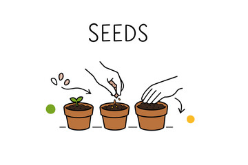 Obraz premium Steps of seed planting in pots: germination, growth, and care guide
