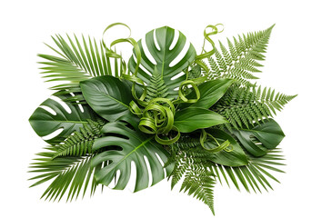 Tropical leaves arrangement with monstera and ferns