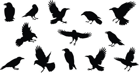 Obraz premium Crow silhouette collection, raven and black bird poses flying and perched, dark wildlife vector illustration set for nature and design