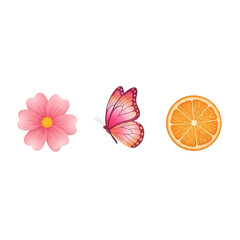 Delicate pink flower, pink butterfly, and orange slice on white background