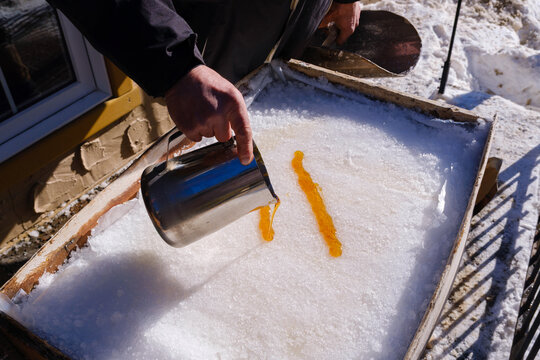 Pouring hot maple syrup on snow to make maple taffy