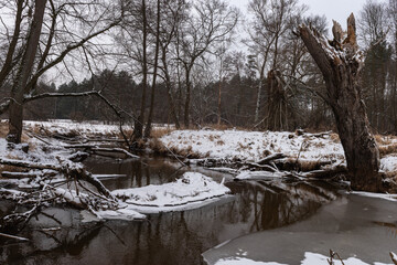 Mała nieuregulowana rzeka zimą. Po obu stronach znajdują się łąki pokryte warstwą śniegu. W poprzek rzeki leżą powalone drzewa. © boguslavus