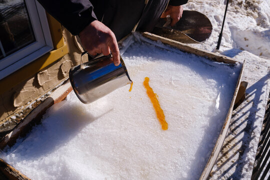 Pouring hot maple syrup on snow to make maple taffy