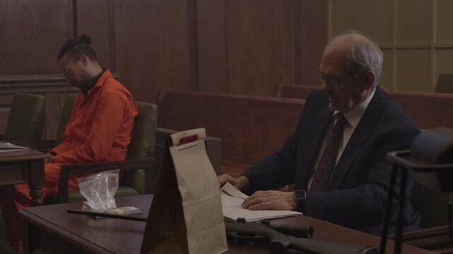 Trial court lawyer with inmate in front of judge