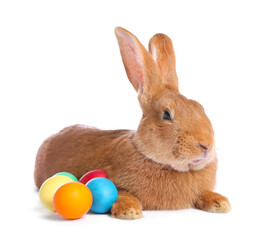 Fototapeta premium Cute fluffy Easter bunny and painted eggs isolated on white