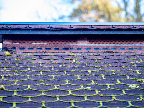 Moos auf dem Dach eines ungeheizten Hauses