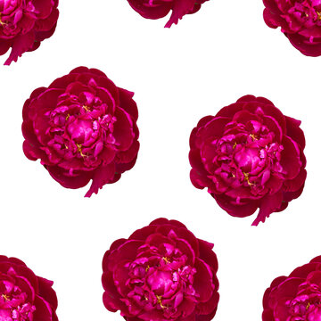 purple seamless pattern with peony flowers