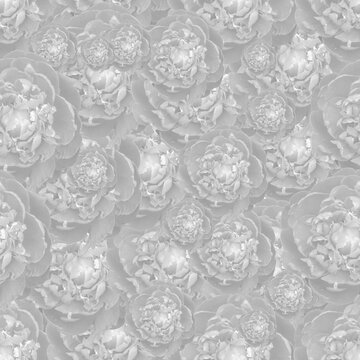 white seamless pattern with peony flowers