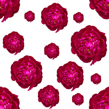 purple seamless pattern with peony flowers