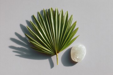 mental wellness still life, tranquil mental health flat lay with palm leaf balance symbol and moonstone, soft gray background, gentle natural light