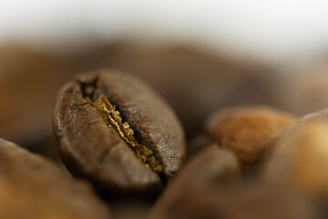macro close up of roasted coffee bean showing texture and crack detail with warm brown tones and soft blurred background