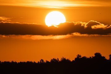 Stunning golden sunset over a dark forest silhouette with a bright sun disk peaking through clouds in Estonian nature landscape