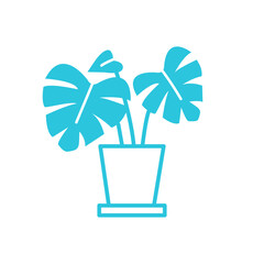 Houseplant icon, Monstera, Isolated on white background. Blue icon