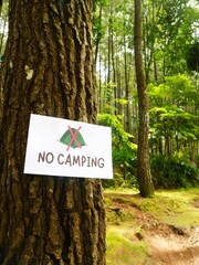 A white sign with a crossed green tent icon and 'NO CAMPING' text hangs on a tree trunk in a forest with a dirt path and dense foliage in the