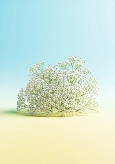 Tranquil arrangement of soft white Gypsophila blossoms displayed minimally on a bright, airy backdrop, pure white, innocence, studio