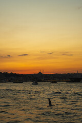 Naklejka premium Golden sunset over Istanbul, Turkey from the Bosphorus, with Galata Bridge lit up and the silhouette of Fatih Camii on the skyline; boats and a flying gull above rippled water