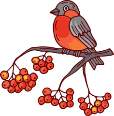 Obraz premium Winter rowan branch with bullfinch bird color drawing