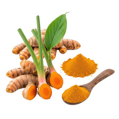 Turmeric roots and powder isolated on transparent background for culinary use