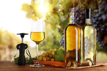 Obraz premium Wine and fresh grapes on table. Glass, bottles and corkscrew in vineyard