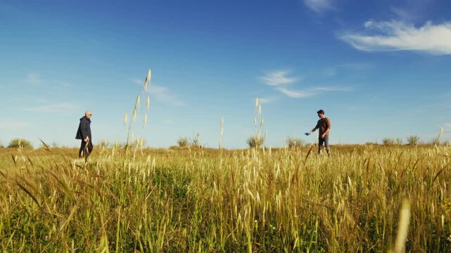 People play with Flying Disk in an outdoor meadow in a sunny nature park