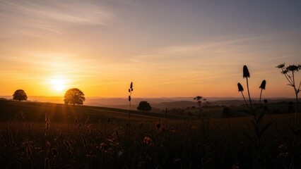 Naklejka premium Golden Hour Serenity Over Rolling Hills: Silhouetted Trees