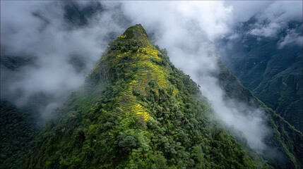 Aerial View of Verdant Mountain Peak Dotted with Yellow Flowers Partially Obscured by Mist in Daytime
