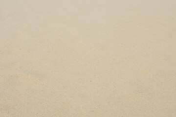 Fondo de arena de playa limpia y dorada con textura fina y uniforme. © Rubén Abdón