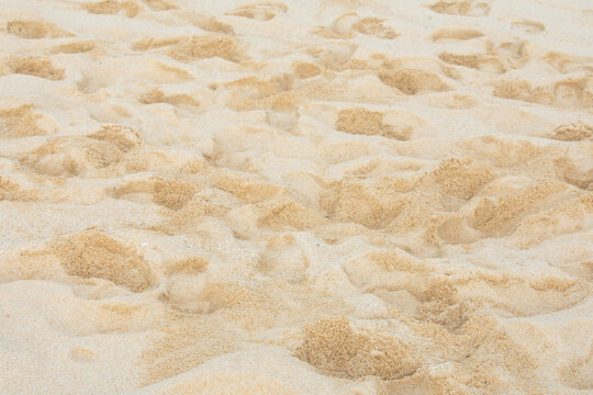 Textura de arena de playa con m&uacute;ltiples huellas de pies bajo luz natural.