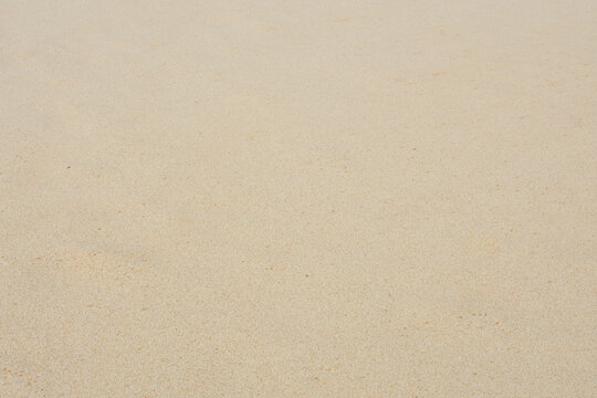 Fondo de arena de playa limpia y dorada con textura fina y uniforme.