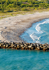Fototapeta premium Shorebirds on Jetty Park Beach