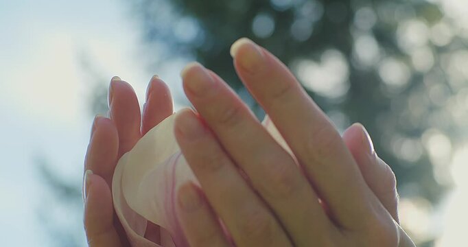 Female Hand Gently Touching Camellia Flower on Sunny Spring Day, Close Up