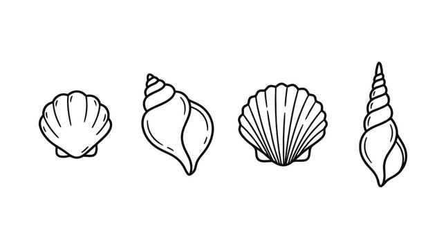 seashells , 4 cute black Hand drawn line art cartoon vector, white background. PNG and SVG