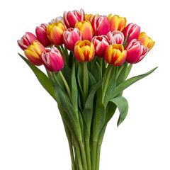 Vibrant Red Yellow White Tulips Bouquet Wet Dew Drops Green Stems Realistic Photo