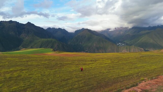 Aerial view of a person in a red poncho standing in a field of yellow flowers in the Andes Mountains of Peru